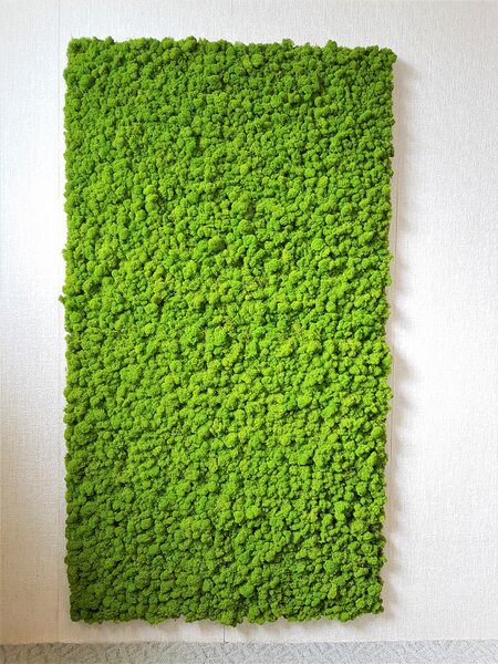 Mechový panel 180cm x 100cm