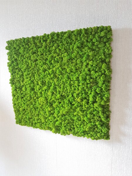 Mechový panel 90cm x 100cm