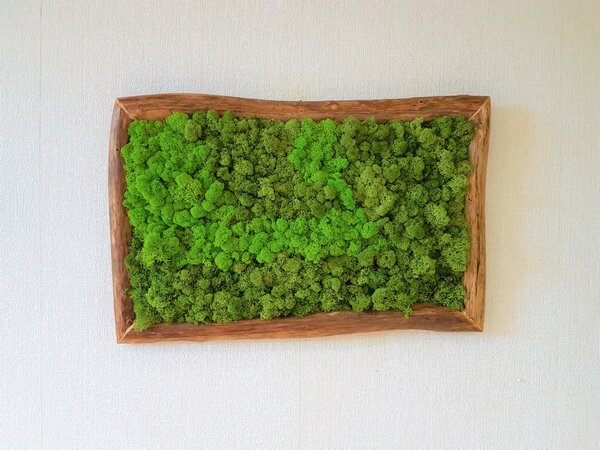 Mechový obraz 50cm x 75cm