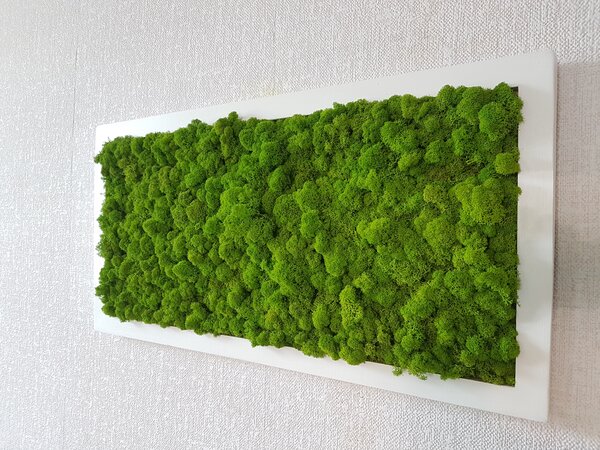 Mechový obraz 40cm x 80cm
