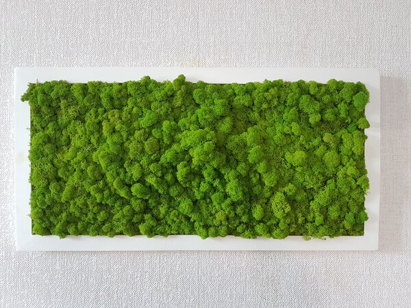Mechový obraz 40cm x 80cm