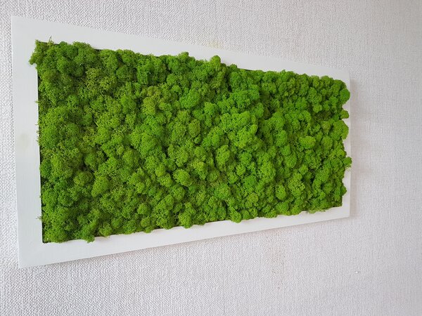 Mechový obraz 40cm x 80cm