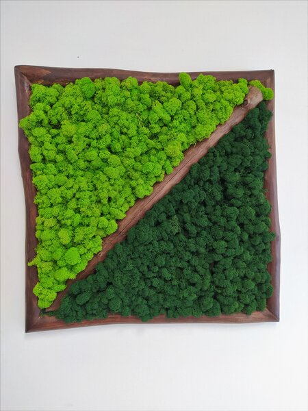 Dvoubarevný mechový obraz 62cm x 62cm