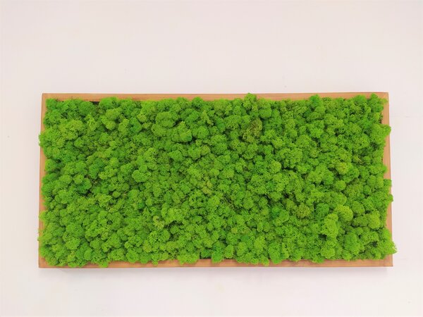 Mechový obraz 40cm x 80cm