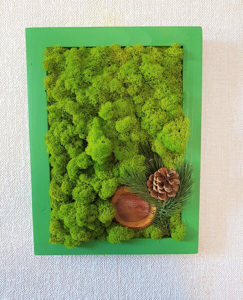 Mechový obraz 40cm x 30cm