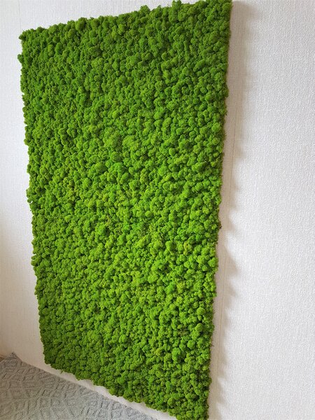 Mechový panel 180cm x 100cm
