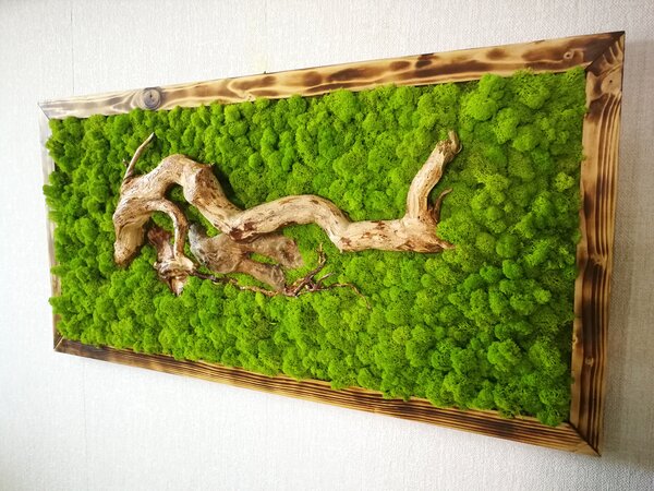 Mechový obraz s drěvem 60cm x 120cm