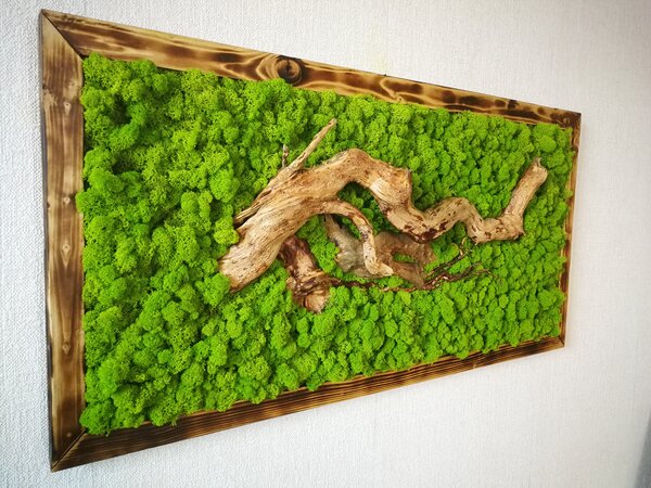 Mechový obraz s drěvem 60cm x 120cm