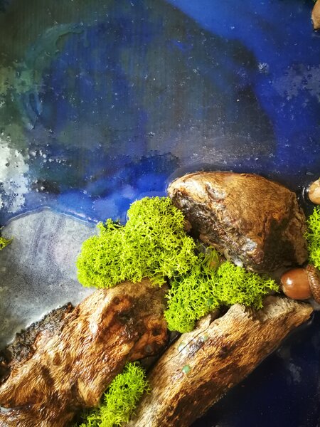 Mechový obraz v kombinaci s epoxidovou pryskyřicí 30cm x 80cm