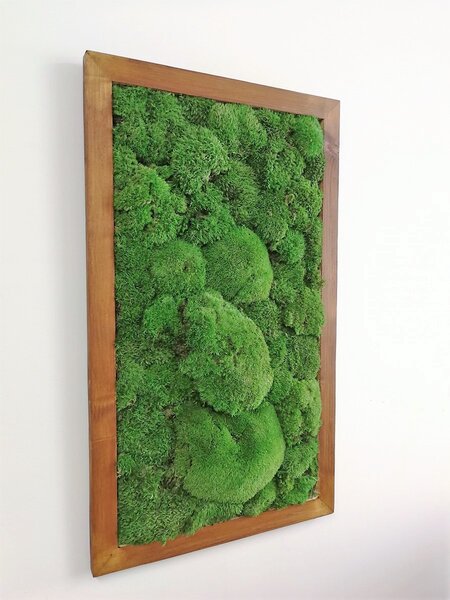 Mechový obraz- kopečkový mech 80cm x 40cm