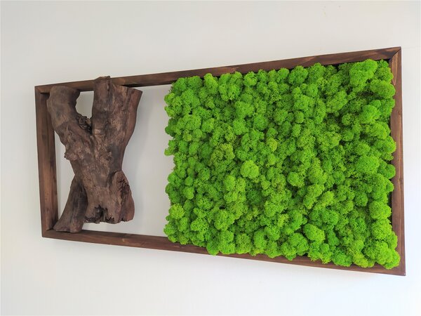 Mechový obraz s exkluzivním dřevem 40cm x 85cm
