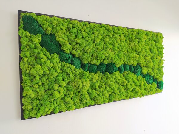 Mechový obraz v černém rámu 57cm x 123cm