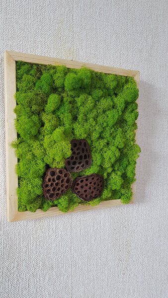Mechový obraz '' vosí hnízdo '' 33cm x 33cm