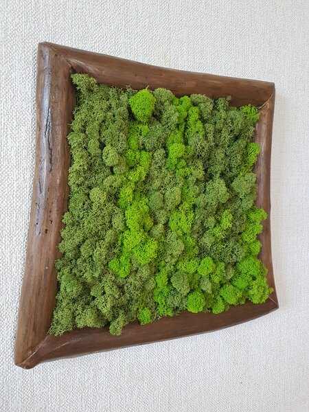 Mechový obraz v asymetrickém rámu 40cm x 45cm
