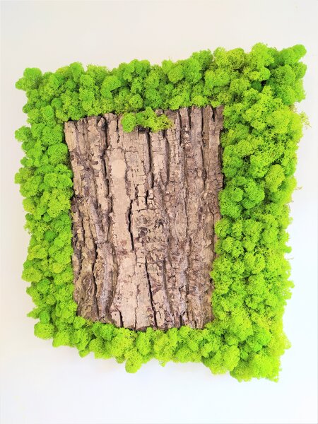 Mechový obraz s kůrou 50cm x 50cm