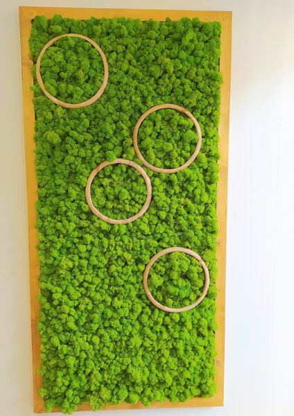 Mechový obraz- kruhy 150cm x 75cm
