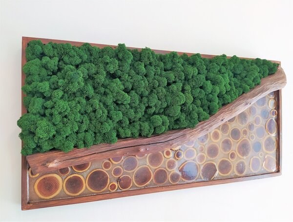 ArtTree s.r.o. Mechový obraz - tmavě zelený s epoxidem 40cm x 80cm