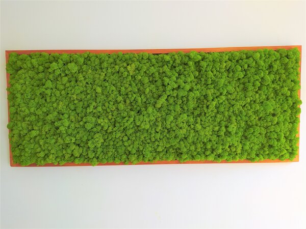 ArtTree s.r.o. Mechový obraz teak 60cm x 120cm