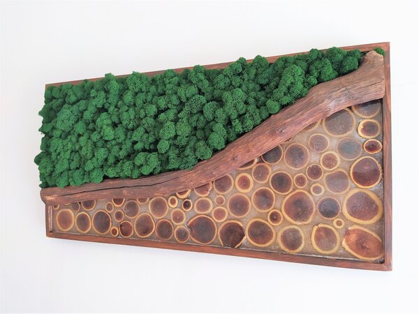 ArtTree s.r.o. Mechový obraz - tmavě zelený s epoxidem 40cm x 80cm