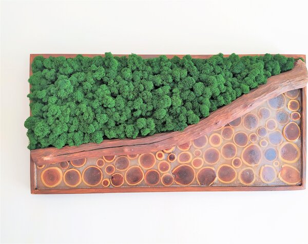 ArtTree s.r.o. Mechový obraz - tmavě zelený s epoxidem 40cm x 80cm