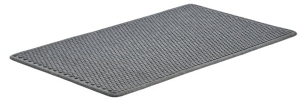 AJ Produkty Vstupní rohož ENTER, 1500x900 mm, světle šedá