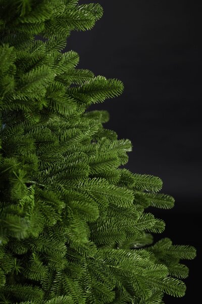 Jedle Tatranská 100% 3D- 230cm