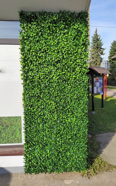 Umělý živý plot-buxus 50cm x 50cm