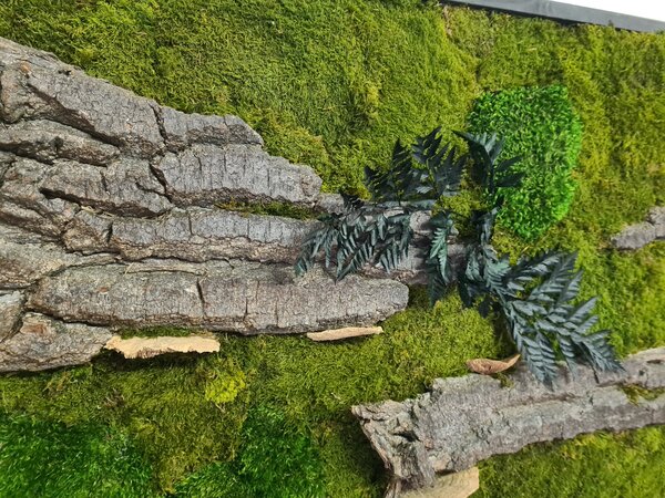 Mechový obraz-lesní + provence mech a kůra 50cm x 100cm