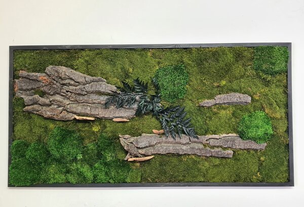 Mechový obraz-lesní + provence mech a kůra 50cm x 100cm