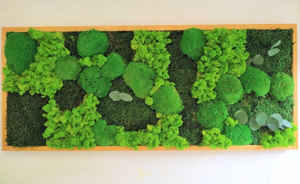 Mechový obraz- více druhů mechu a listy 50cm x 90cm