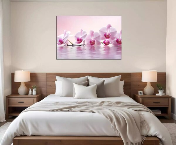 Obraz do bytu Růžové orchideje
