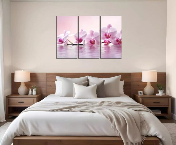 Obraz do bytu Růžové orchideje