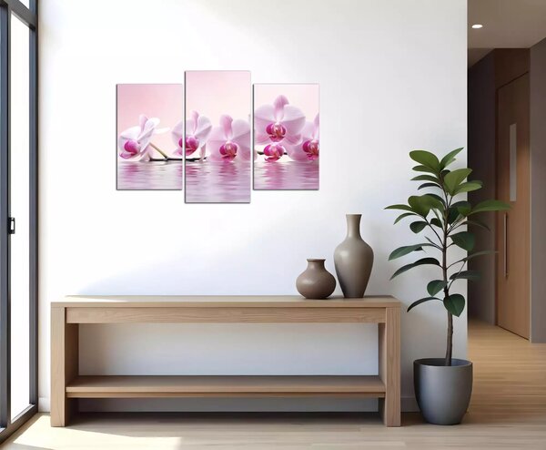 Obraz do bytu Růžové orchideje
