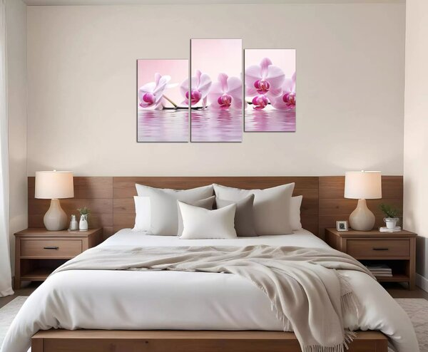 Obraz do bytu Růžové orchideje