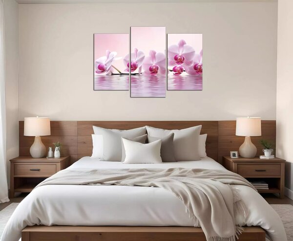 Obraz do bytu Růžové orchideje