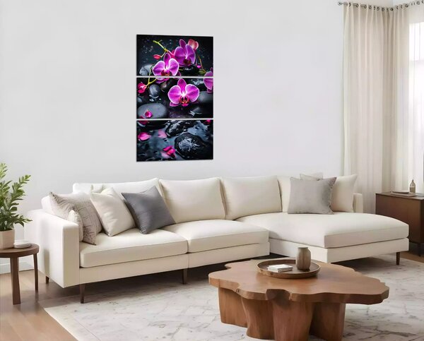 Moderní obraz Fialové orchideje na kamenech