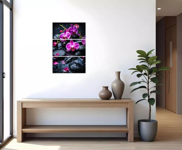 Moderní obraz Fialové orchideje na kamenech