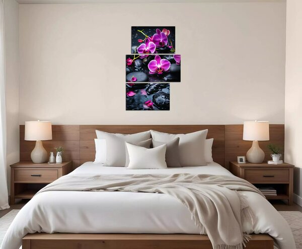 Moderní obraz Fialové orchideje na kamenech