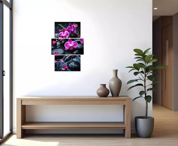 Moderní obraz Fialové orchideje na kamenech