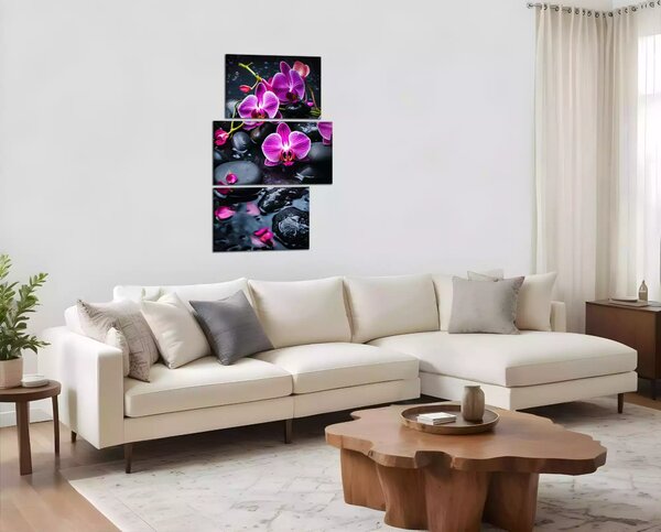 Moderní obraz Fialové orchideje na kamenech