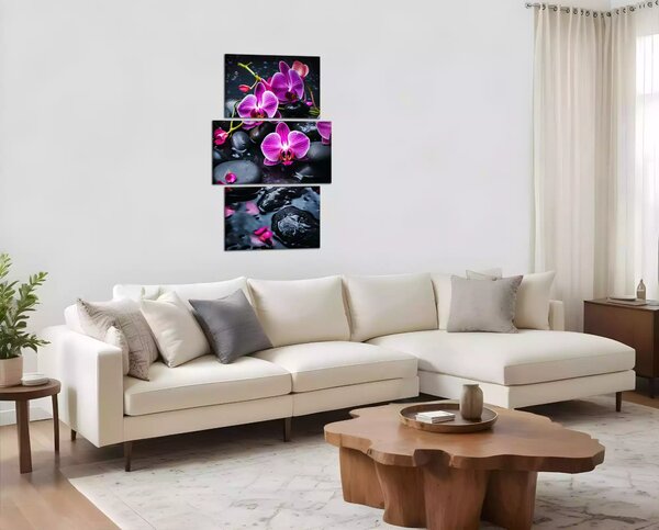 Moderní obraz Fialové orchideje na kamenech