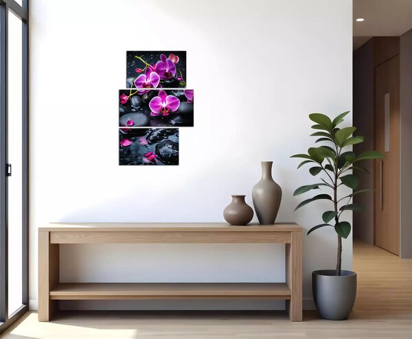 Moderní obraz Fialové orchideje na kamenech