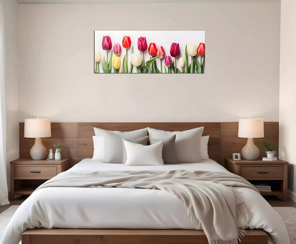Obraz na plátně Různobarevné tulipány