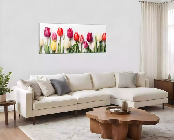 Obraz na plátně Různobarevné tulipány