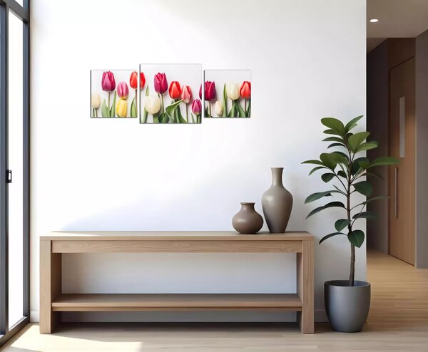 Obraz na plátně Různobarevné tulipány