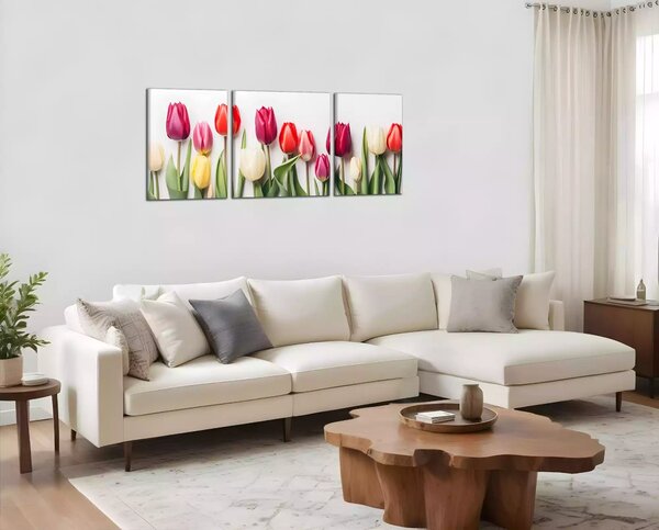 Obraz na plátně Různobarevné tulipány