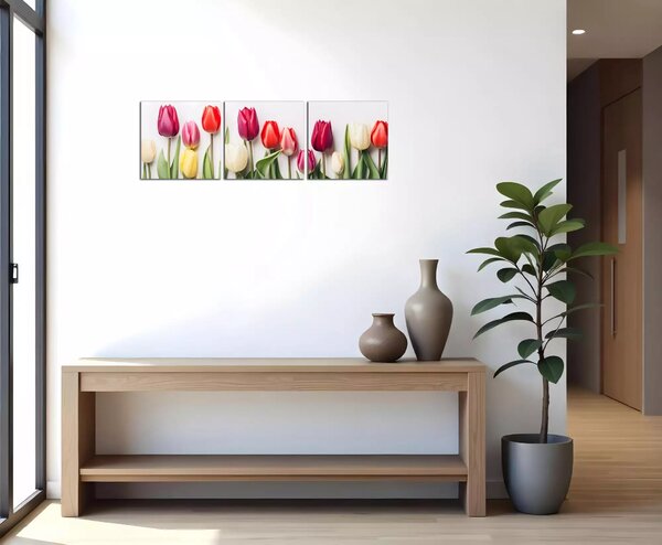 Obraz na plátně Různobarevné tulipány