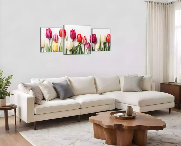 Obraz na plátně Různobarevné tulipány