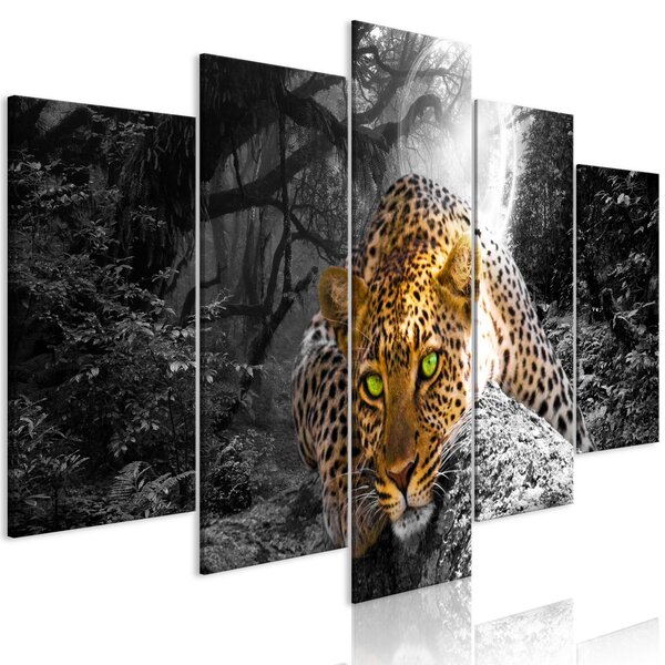 Obraz - Leopard leží - šedý 100x50