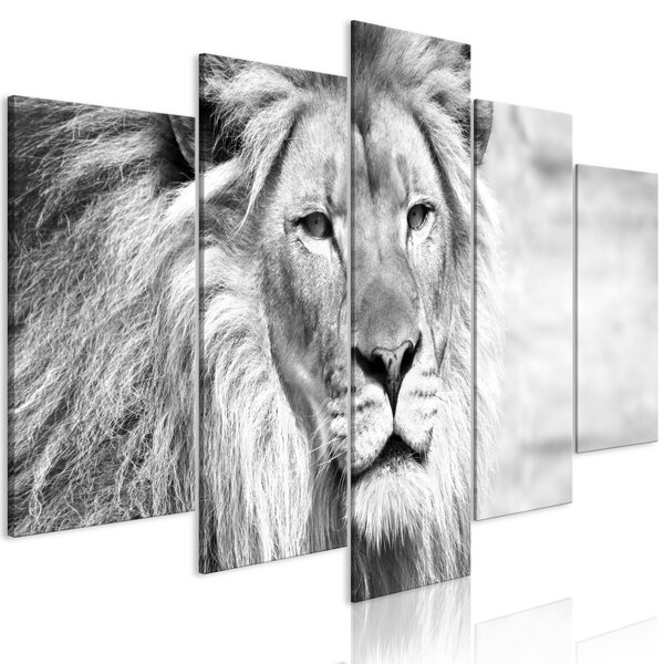 Obraz - Král zvířat - černobílý 100x50